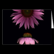 Cone Flowers cards