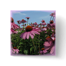 Cone Flowers Square Pin