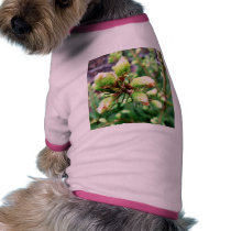 Cone Sprouts pet clothing