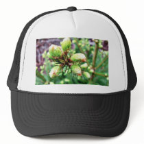 Cone Sprouts hats by lifesphere Cone Sprouts hats