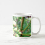 Cone Sprouts Mugs