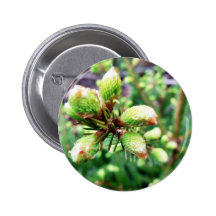 Cone Sprouts Pinback Button