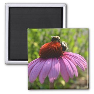 Coneflower and two Bees Magnet magnet