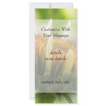 Coneflower Bud Personalized Rack Card