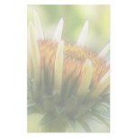 Coneflower Bud Custom Stationery