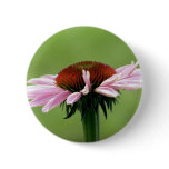 Coneflower Pins