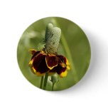 Coneflower Button