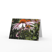 Coneflower Card