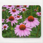 Coneflower fields mouse pad