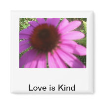 coneflower magnets