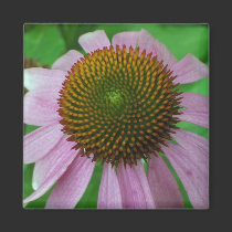 Coneflower Magnet by Victoreeah Coneflower Magnet
