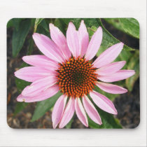 Coneflower mousepads by princessklb07 Coneflower mousepads