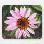 Coneflower Mouse Pad