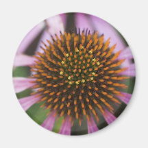 Coneflower Photo Magnet