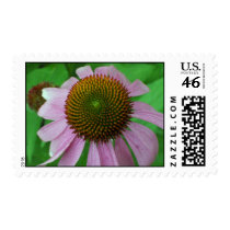 Coneflower Postage postage