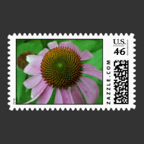 Coneflower Postage postage by Victoreeah Coneflower Postage postage