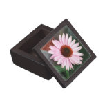 Coneflower premium gift boxes