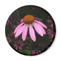 CONEFLOWER PRODUCTS magnets