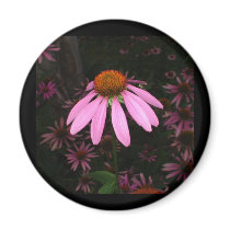 CONEFLOWER PRODUCTS magnets