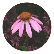 CONEFLOWER PRODUCTS stickers