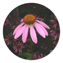 CONEFLOWER PRODUCTS stickers