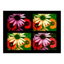 Coneflower Quad posters