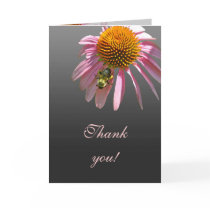 Coneflower Thank You Cards