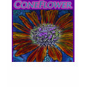 Coneflower t-shirts by QuietDog_Images Coneflower t-shirts