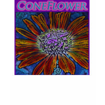 Coneflower t-shirts by QuietDog_Images Coneflower t-shirts