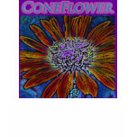 Coneflower T Shirts