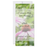 Coneflower Twins Custom Rack Card