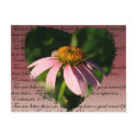 Coneflower with friendship verse postcards