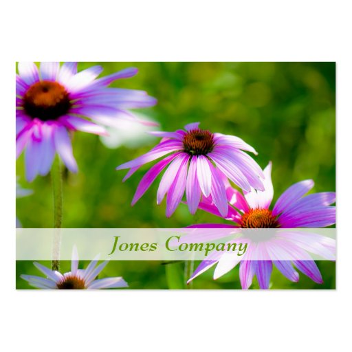 Coneflowers Beautiful Floral Business Card