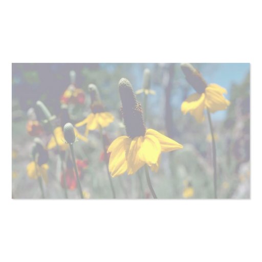 Coneflowers Business Card Template (back side)