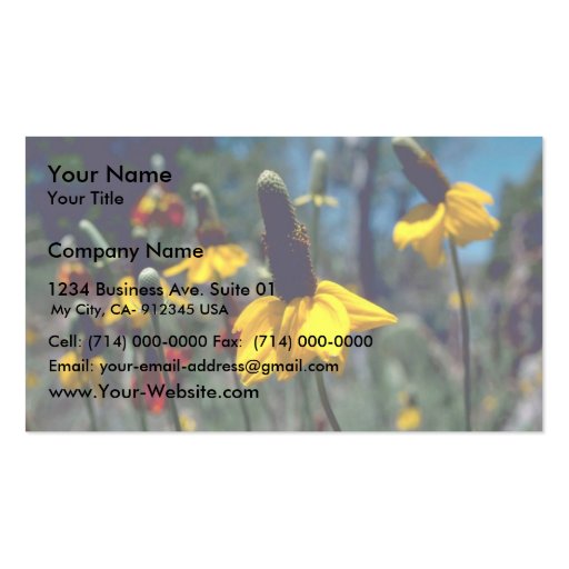 Coneflowers Business Card Template (front side)
