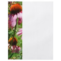 Coneflowers in Garden Full Color Flyer