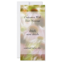 Coneflowers In The Morning Sun Rack Card
