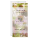 Coneflowers In The Morning Sun Rack Card