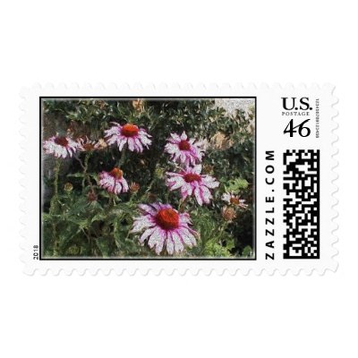 coneflowers stamps by Eye4birds