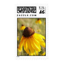 Coneflowers postage