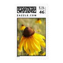 Coneflowers postage by threadpicker Coneflowers postage