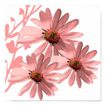 ConeFlowers posters by samack ConeFlowers posters