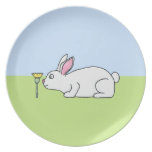 Conejo blanco. En un césped Platos Para Fiestas