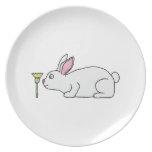 Conejo y flor blancos platos para fiestas