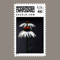 Cones postage by zeebuzz Cones postage