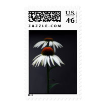 Cones postage by zeebuzz Cones postage
