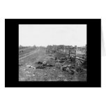 Confederate Casualties at Antietam 1862 Greeting Cards