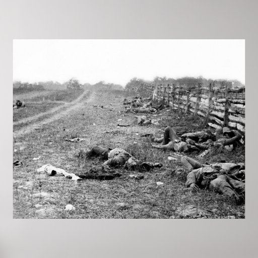 Confederate Dead at Antietam: 1862 Print