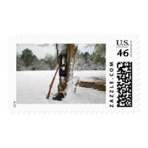 Confederate Winter postage