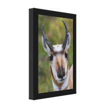 Confidence Gallery Wrap Canvas